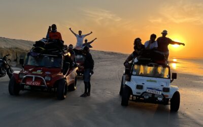 buggietodos